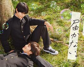 苹果图片解说海报剧照